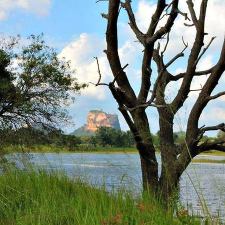 Rho Sigiriya Lake Edge Retreat Kibissa Bagian luar foto