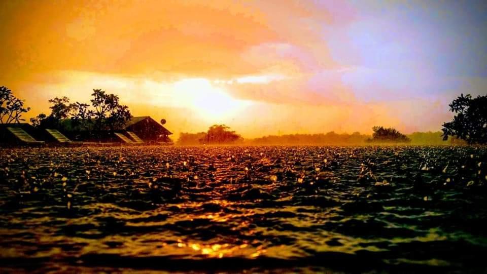 Rho Sigiriya Lake Edge Retreat Kibissa Bagian luar foto