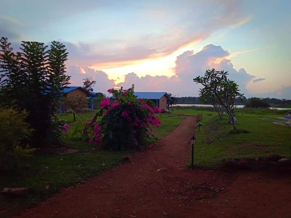 Rho Sigiriya Lake Edge Retreat Kibissa Bagian luar foto