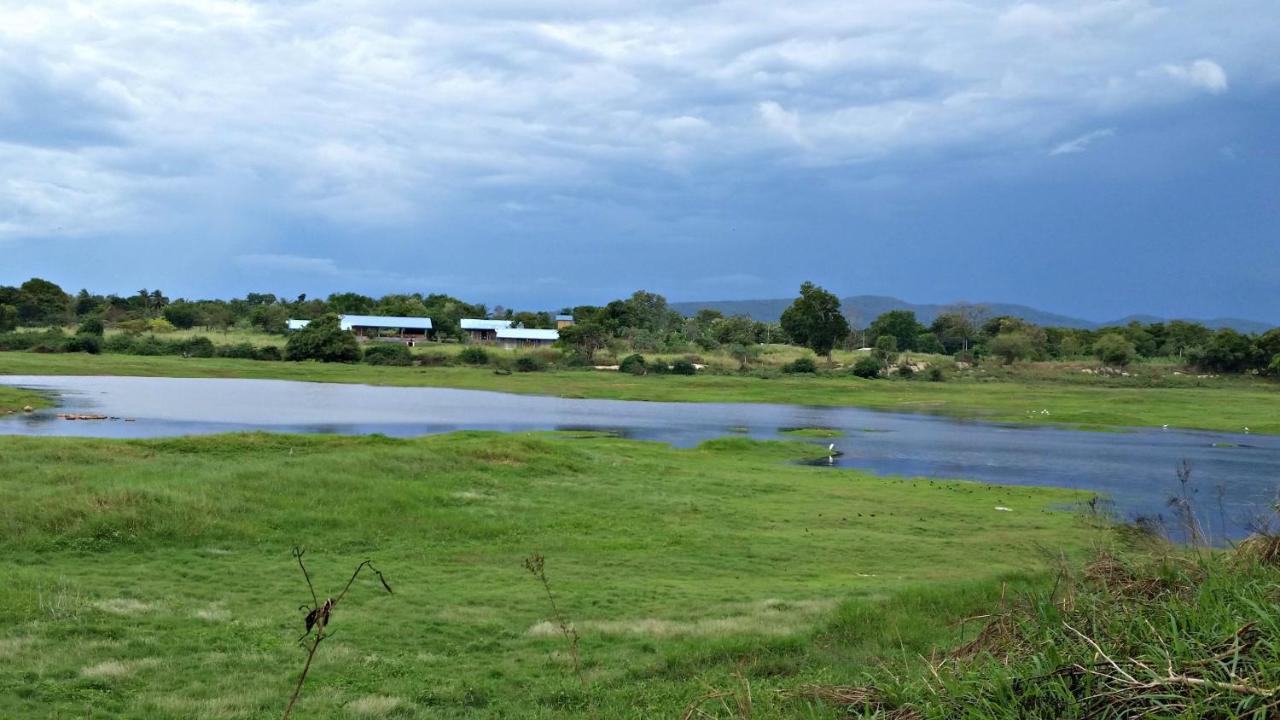 Rho Sigiriya Lake Edge Retreat Kibissa Bagian luar foto