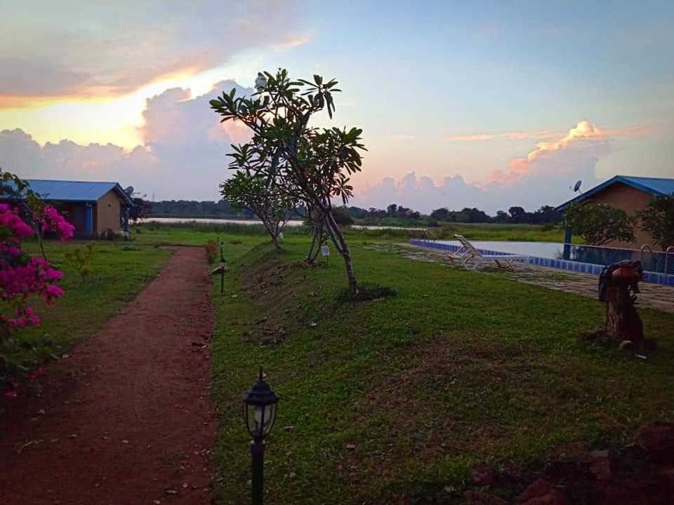 Rho Sigiriya Lake Edge Retreat Kibissa Bagian luar foto