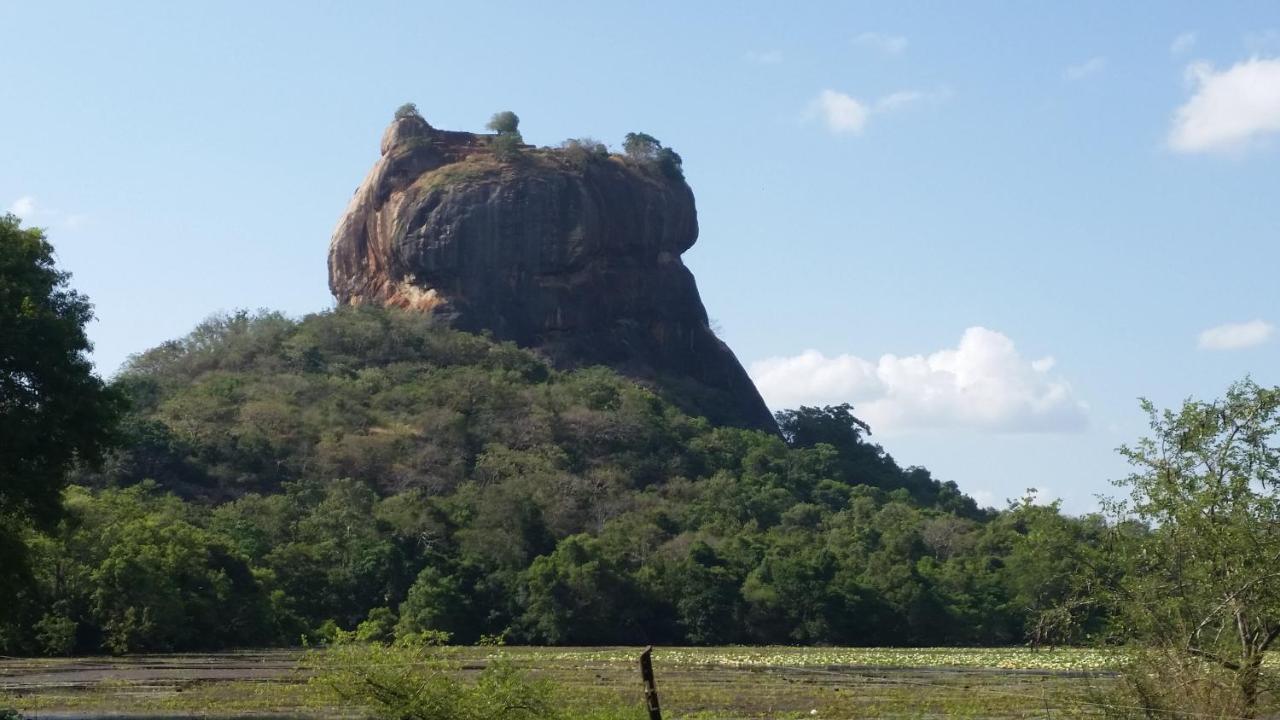 Rho Sigiriya Lake Edge Retreat Kibissa Bagian luar foto