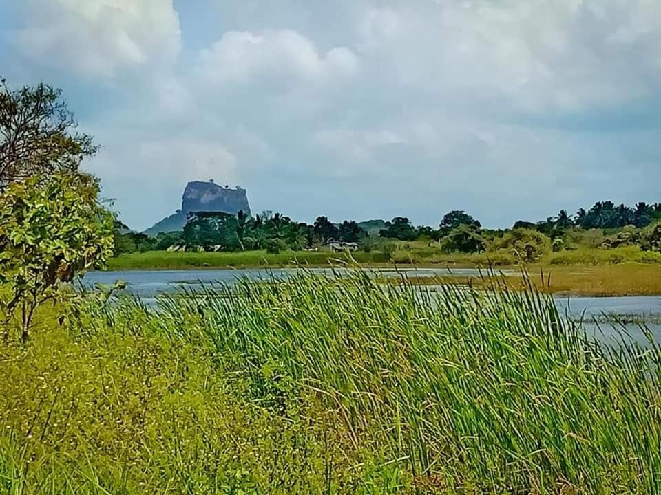 Rho Sigiriya Lake Edge Retreat Kibissa Bagian luar foto