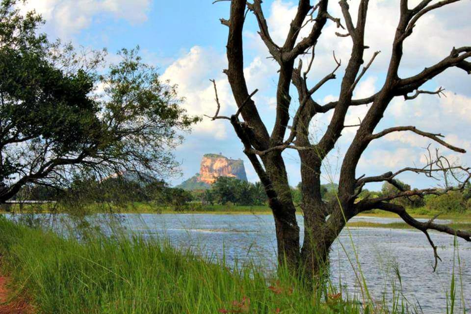 Rho Sigiriya Lake Edge Retreat Kibissa Bagian luar foto