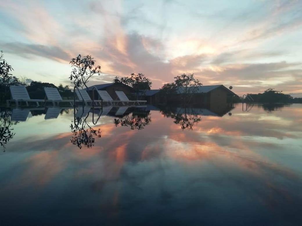 Rho Sigiriya Lake Edge Retreat Kibissa Bagian luar foto