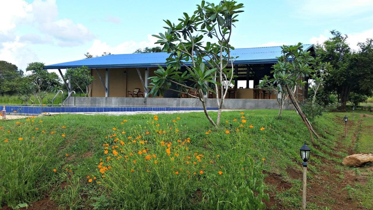 Rho Sigiriya Lake Edge Retreat Kibissa Bagian luar foto