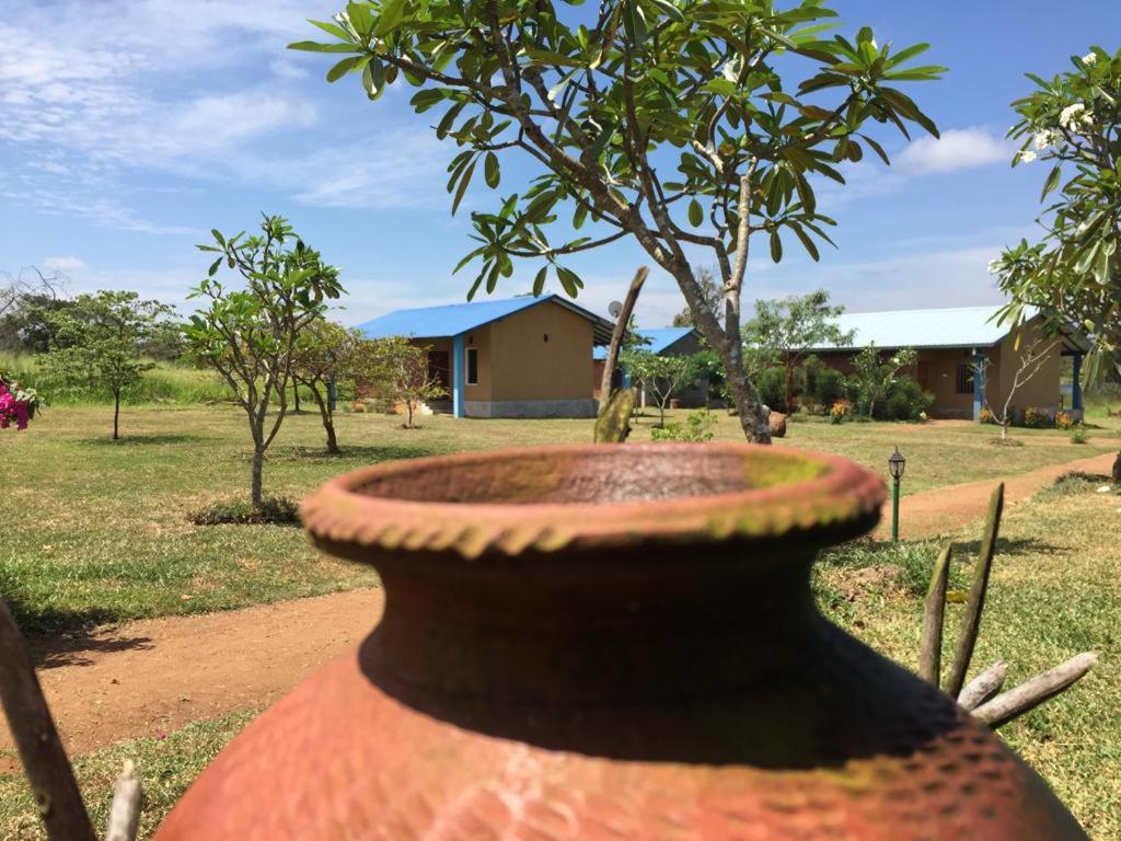 Rho Sigiriya Lake Edge Retreat Kibissa Bagian luar foto